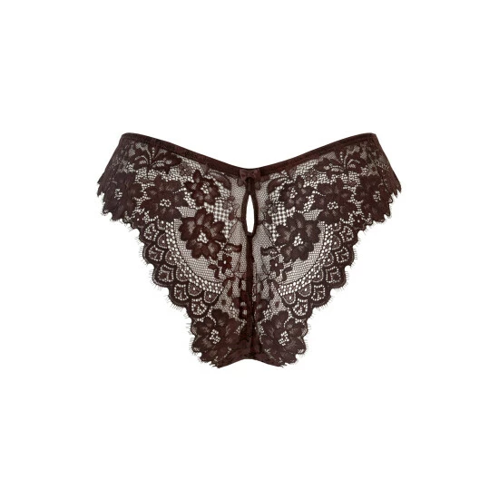 unnamed-file-994.jpg Pour Moi Brown India Eyelash Lace V Brief -Pour Moi Shop unnamed file 994